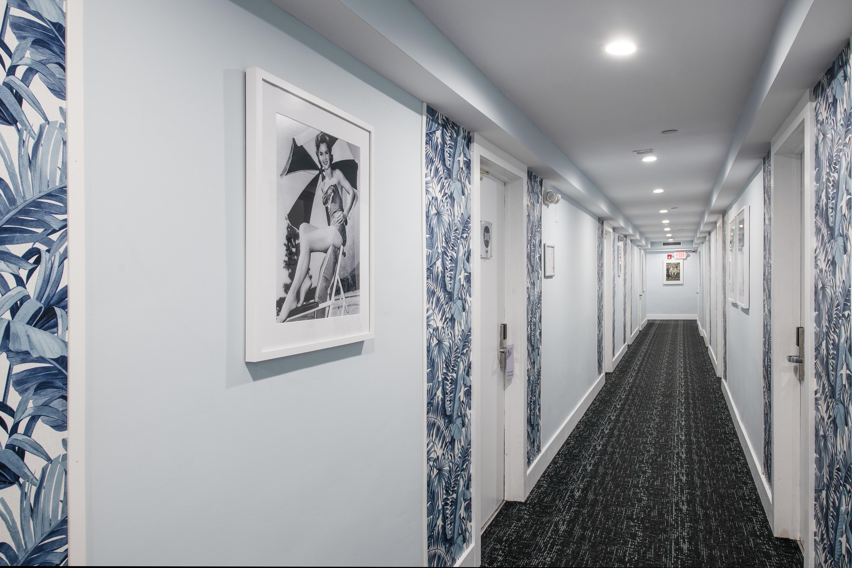 מיאמי ביץ' Penguin Hotel מראה חיצוני תמונה